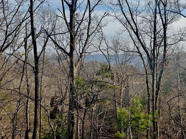 1.5 Acres of Land for Sale in Blue Ridge, Georgia