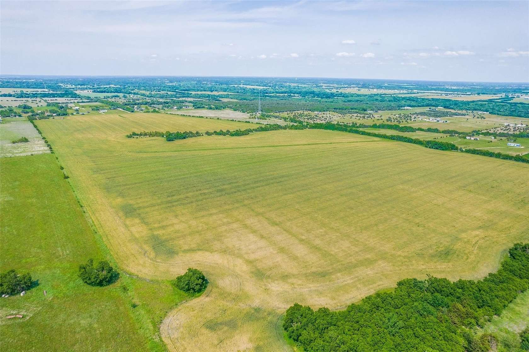 50 Acres of Agricultural Land for Sale in Farmersville, Texas