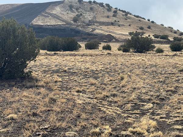 1 Acre of Residential Land for Sale in Concho, Arizona