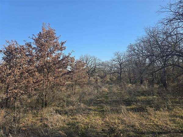 2 Acres of Residential Land for Sale in Poolville, Texas