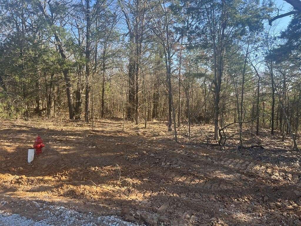 0.41 Acres of Land for Sale in Gordonville, Texas