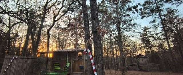 3.17 Acres of Residential Land with Home for Sale in Scroggins, Texas