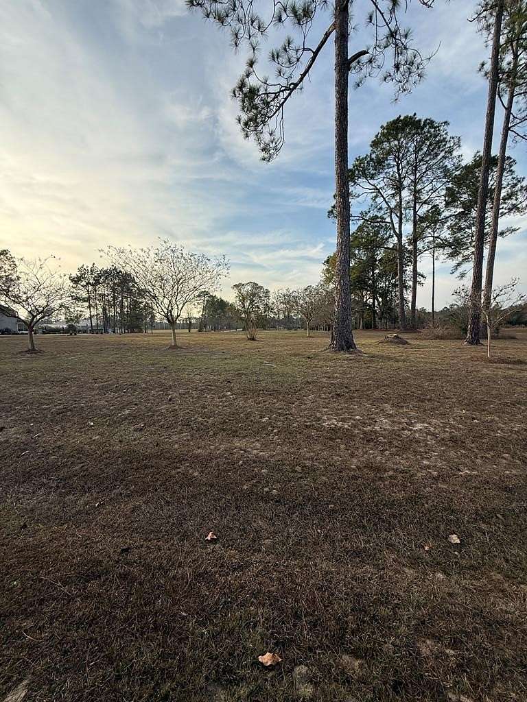 2.5 Acres of Residential Land for Sale in Douglas, Georgia