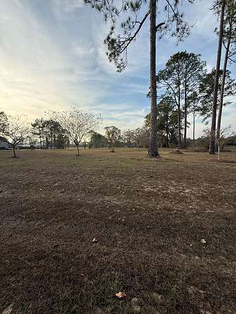2.5 Acres of Residential Land for Sale in Douglas, Georgia