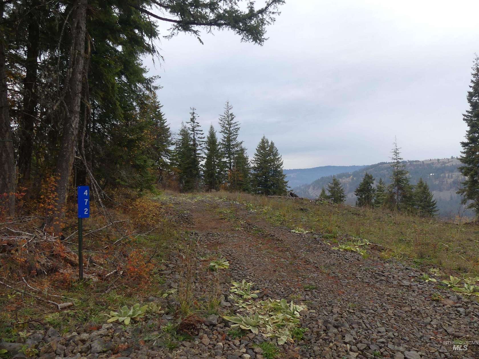 22.4 Acres of Recreational Land for Sale in Orofino, Idaho