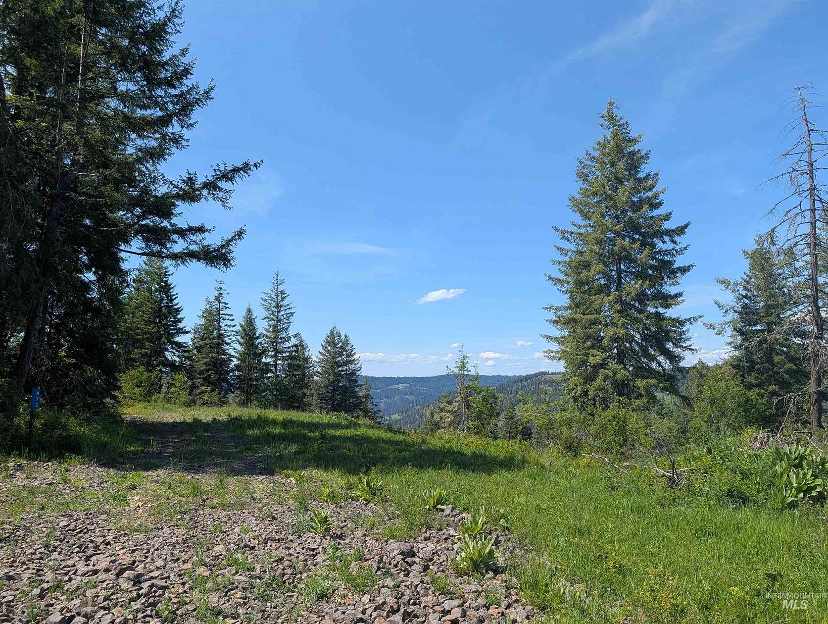 22.4 Acres of Recreational & Residential Land for Sale in Orofino, Idaho