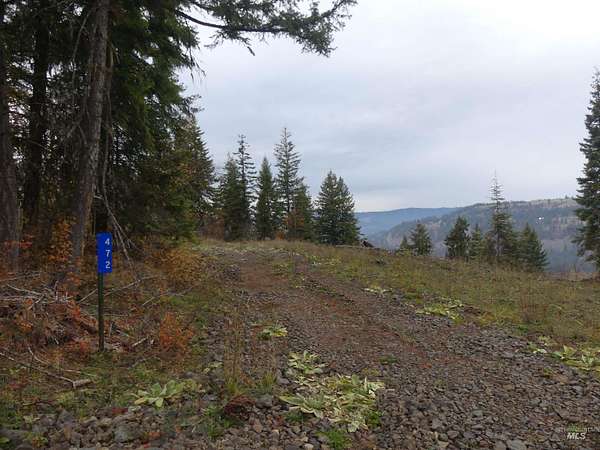22.4 Acres of Recreational Land for Sale in Orofino, Idaho