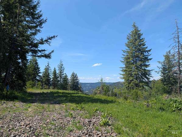 22.4 Acres of Recreational & Residential Land for Sale in Orofino, Idaho