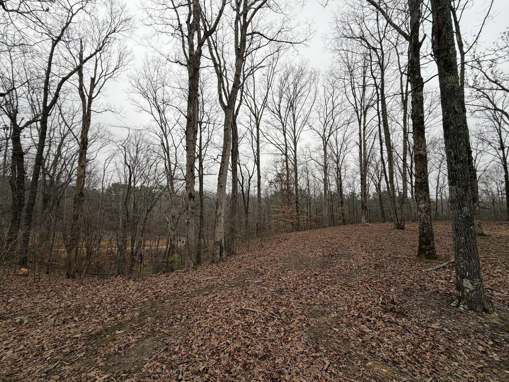 26.5 Acres of Land for Sale in Centerville, Tennessee