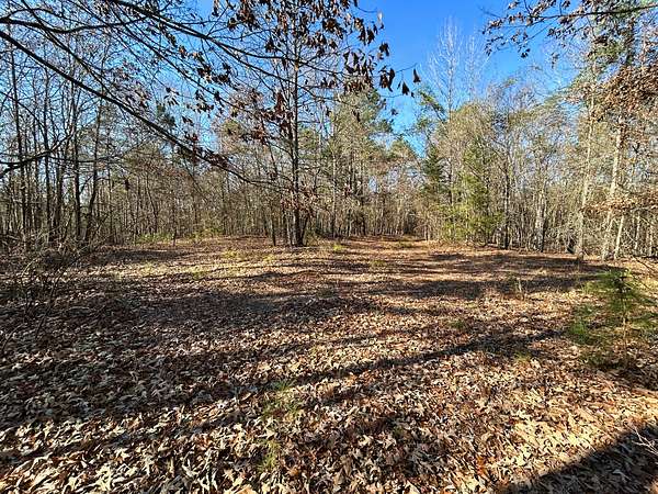 13.9 Acres of Land for Sale in Atlanta, Texas