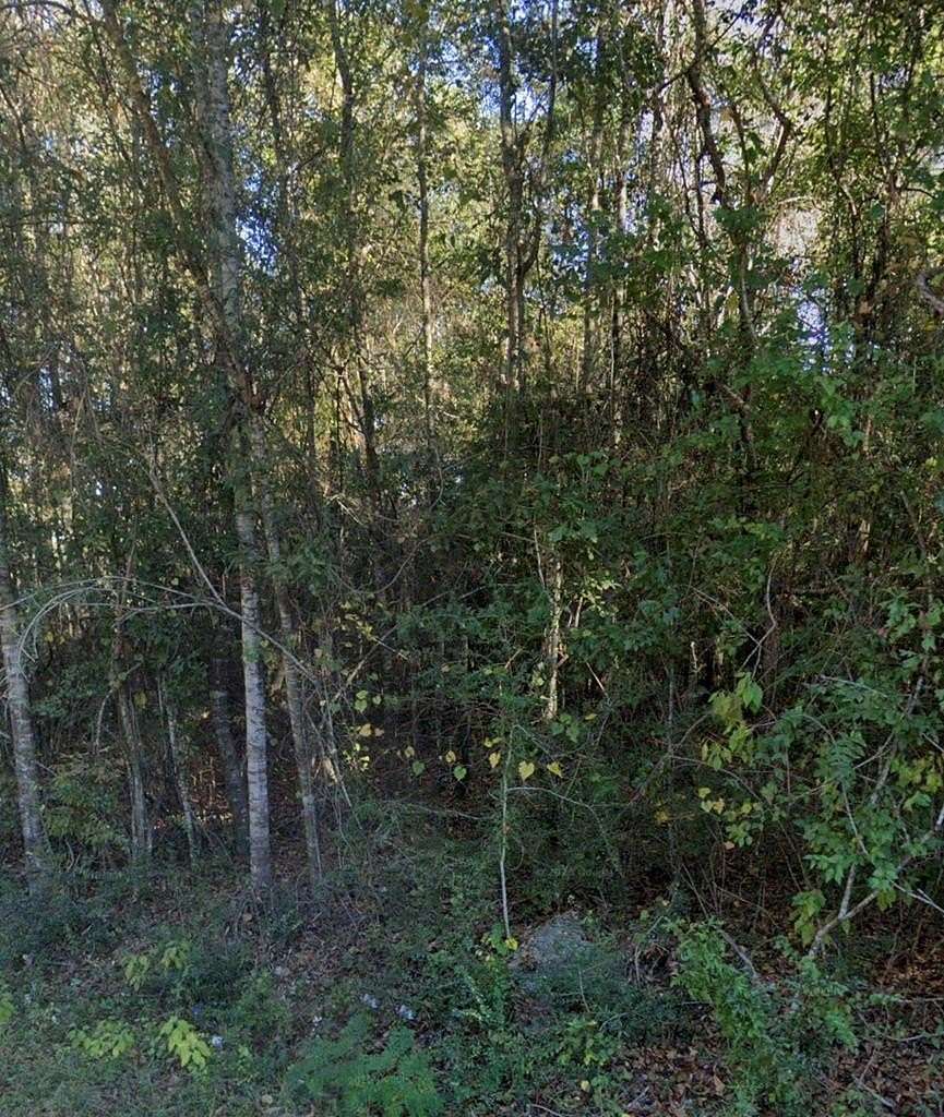 0.6 Acres of Residential Land for Sale in Carriere, Mississippi