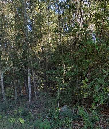 0.6 Acres of Residential Land for Sale in Carriere, Mississippi