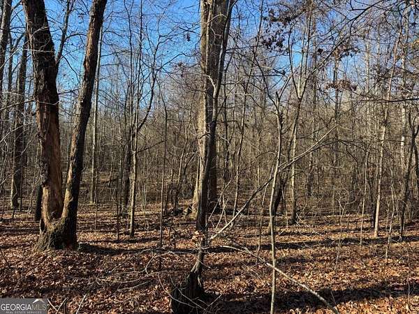 3 Acres of Mixed-Use Land for Sale in Bogart, Georgia