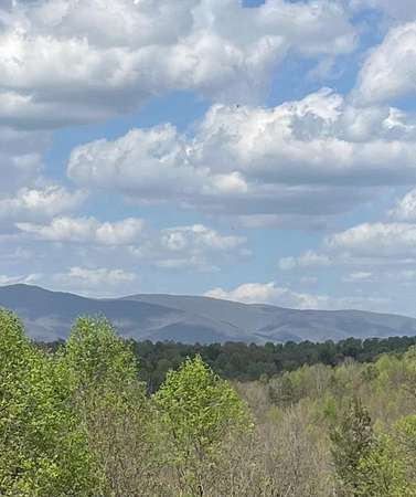 24.2 Acres of Agricultural Land with Home for Sale in Ellijay, Georgia