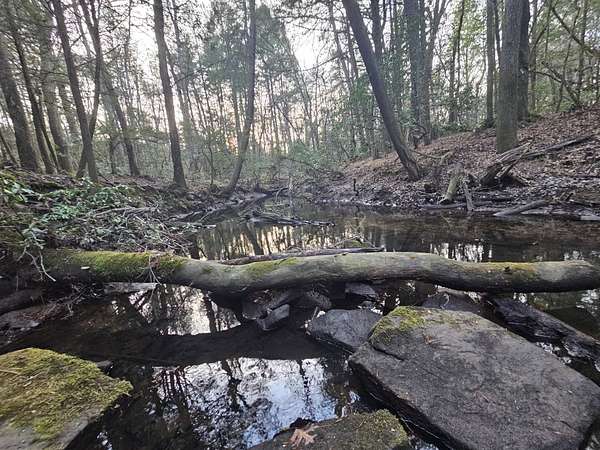 7.76 Acres of Residential Land with Home for Sale in Spencer, Tennessee