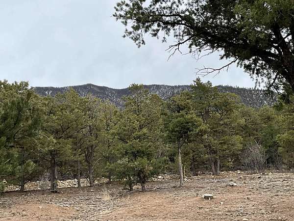 2 Acres of Residential Land for Sale in Questa, New Mexico
