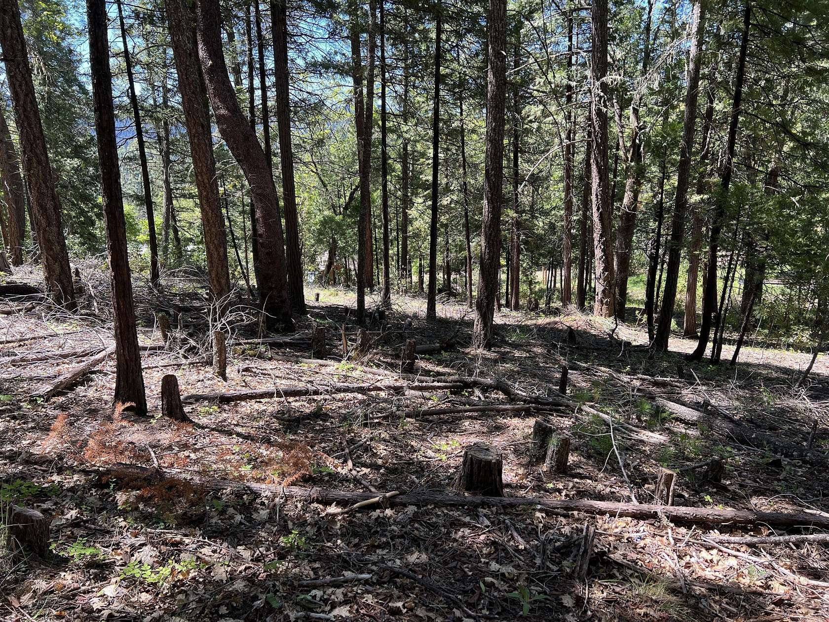 0.5 Acres of Residential Land for Sale in Prospect, Oregon