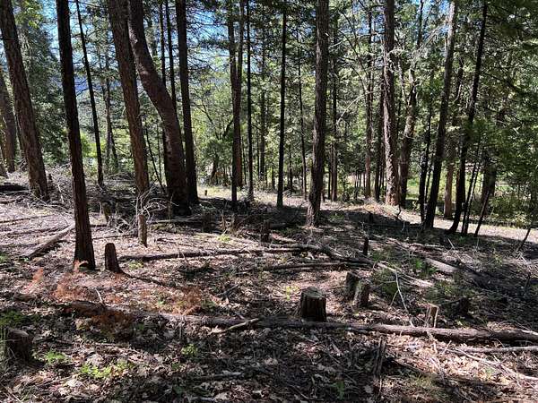0.5 Acres of Residential Land for Sale in Prospect, Oregon