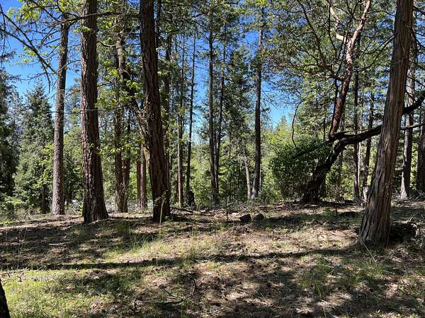 0.5 Acres of Residential Land for Sale in Prospect, Oregon