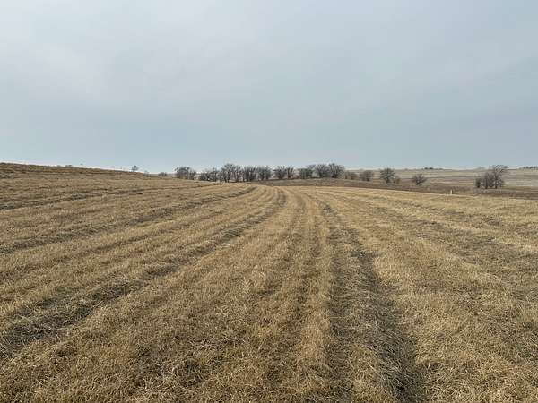 10 Acres of Land for Sale in Malvern, Iowa
