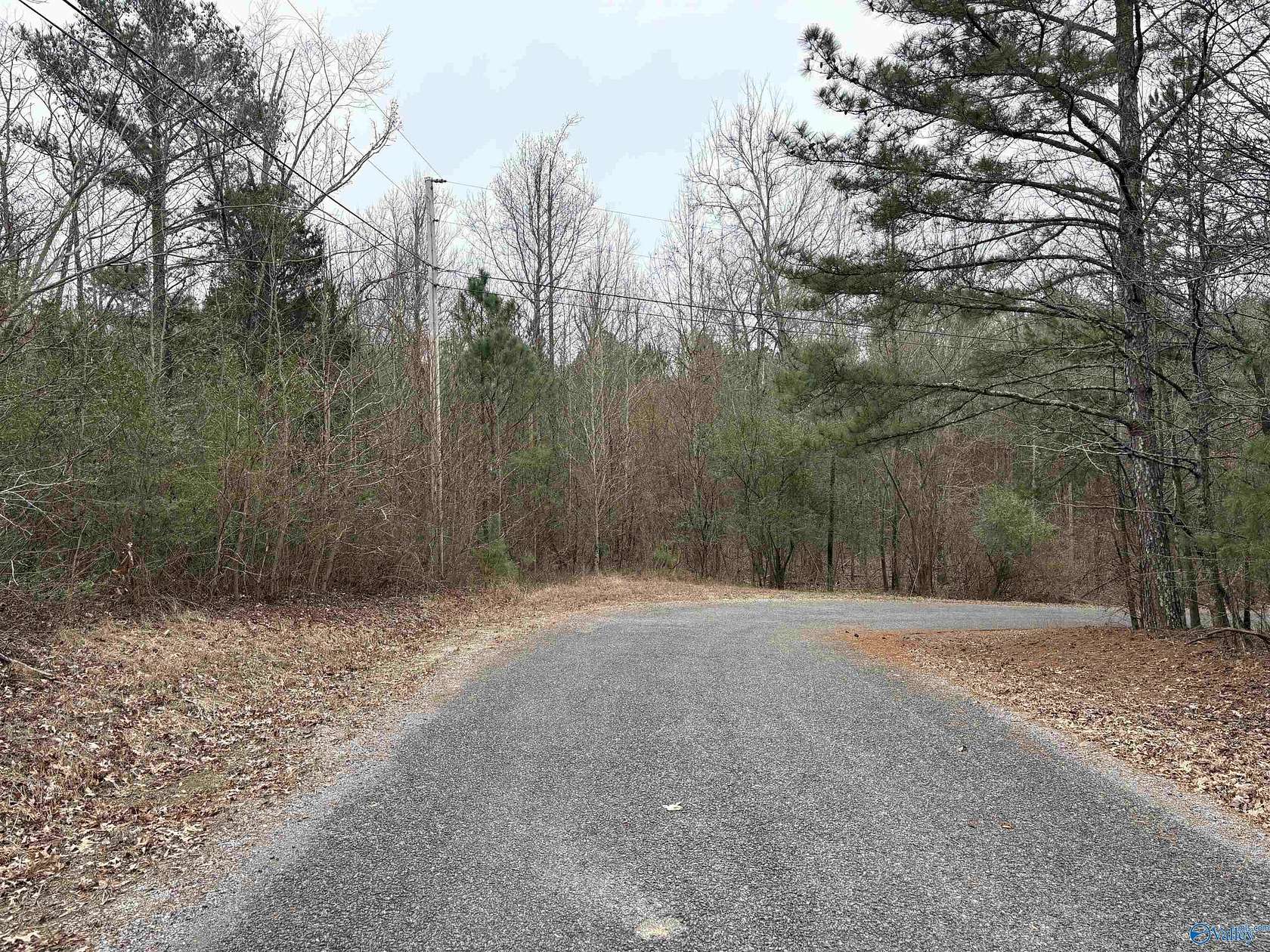 1.5 Acres of Land for Sale in Scottsboro, Alabama