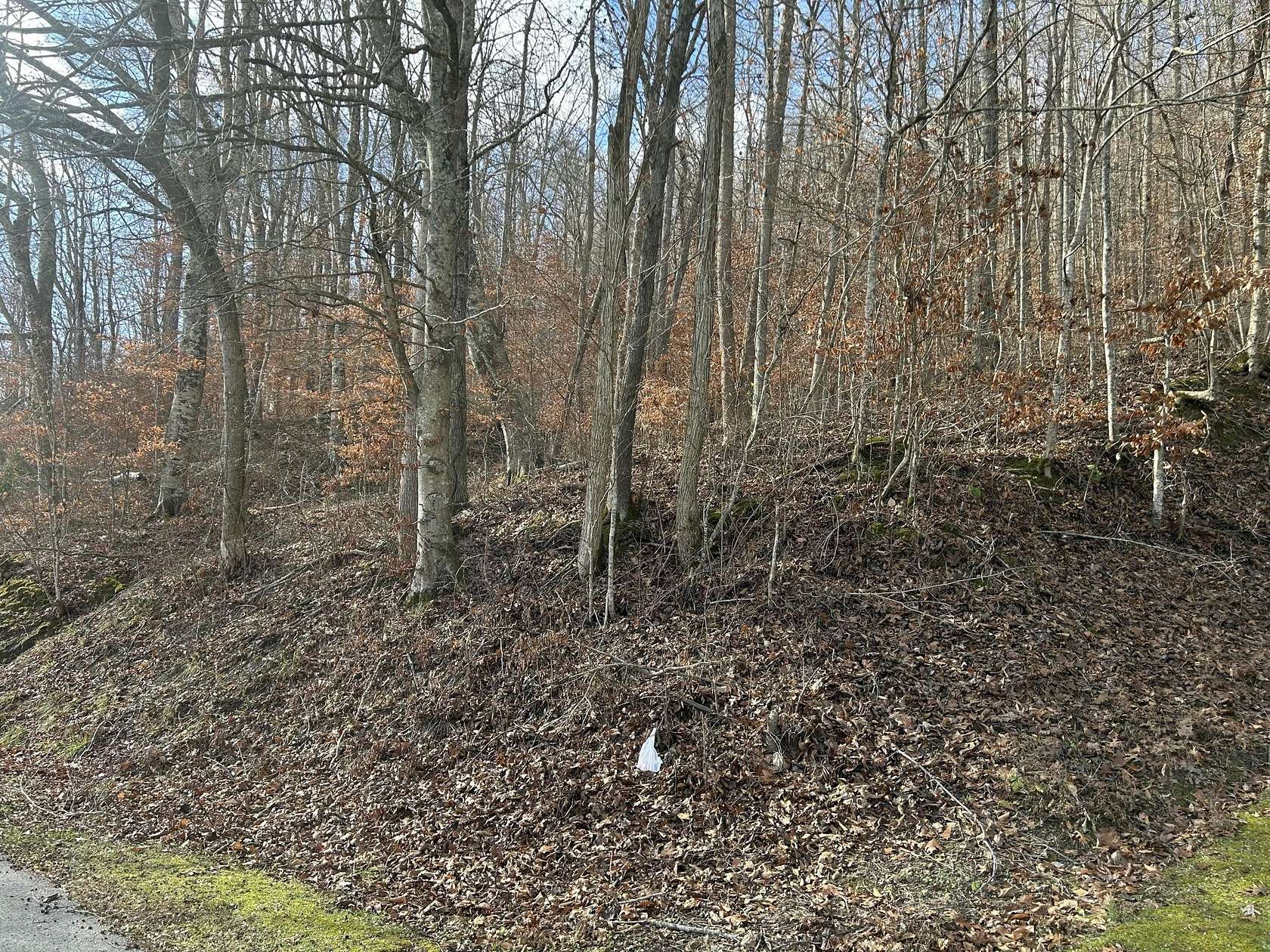 4 Acres of Land for Sale in Stanton, Kentucky