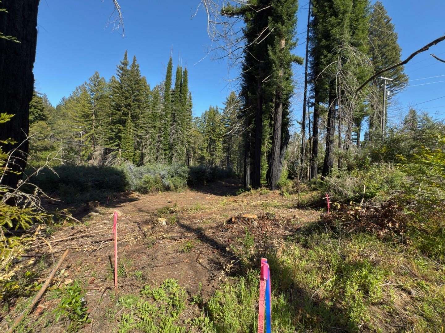 0.26 Acres of Residential Land for Sale in Boulder Creek, California