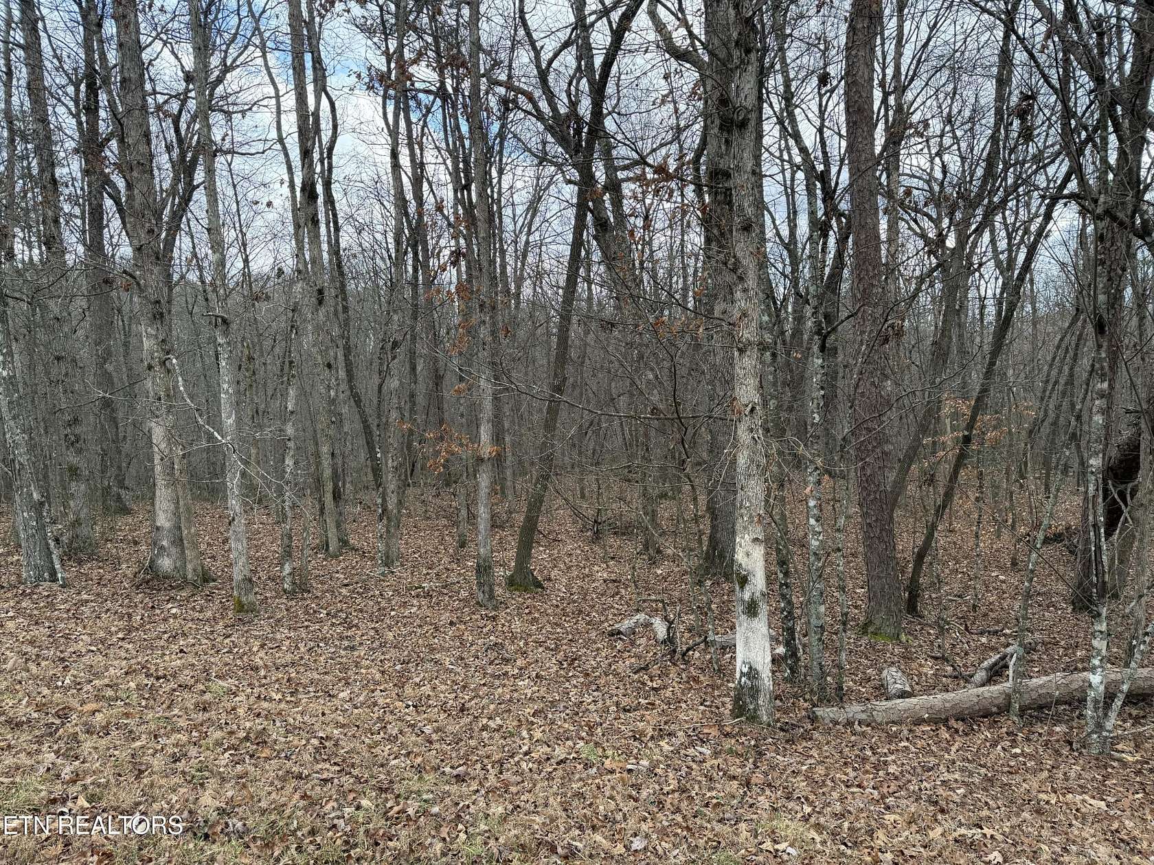 2.58 Acres of Residential Land for Sale in Monterey, Tennessee