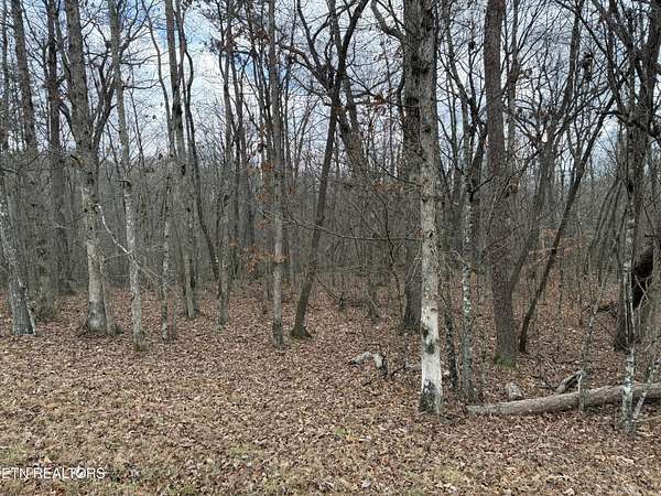 2.58 Acres of Residential Land for Sale in Monterey, Tennessee