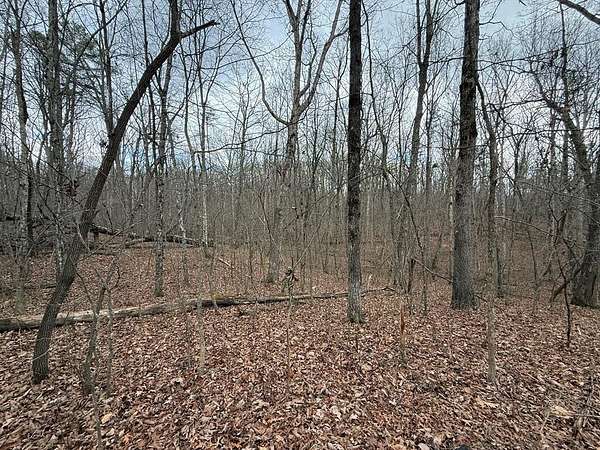 2.58 Acres of Land for Sale in Monterey, Tennessee