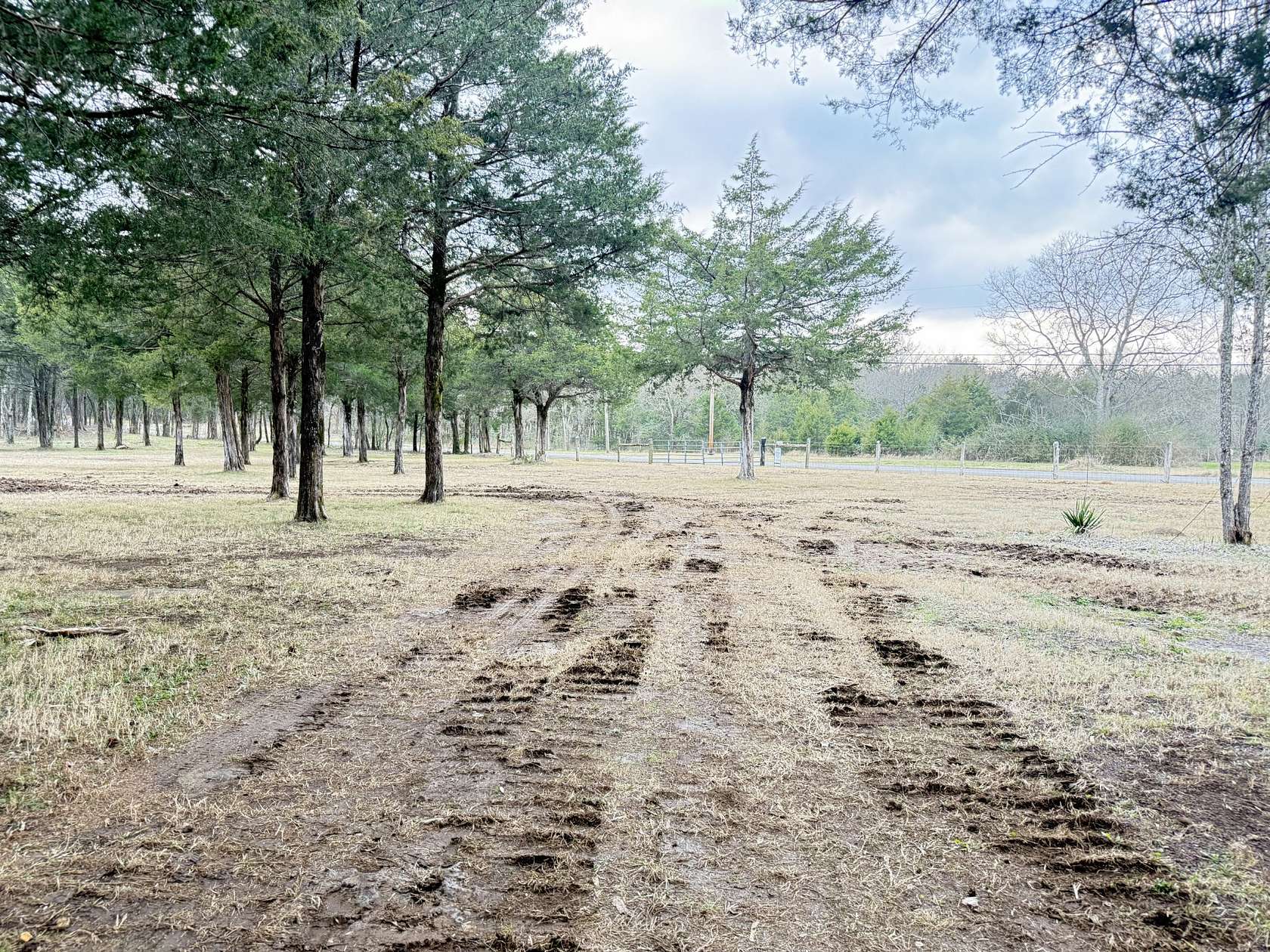 11 Acres of Recreational & Residential Land for Sale in Chapel Hill, Tennessee