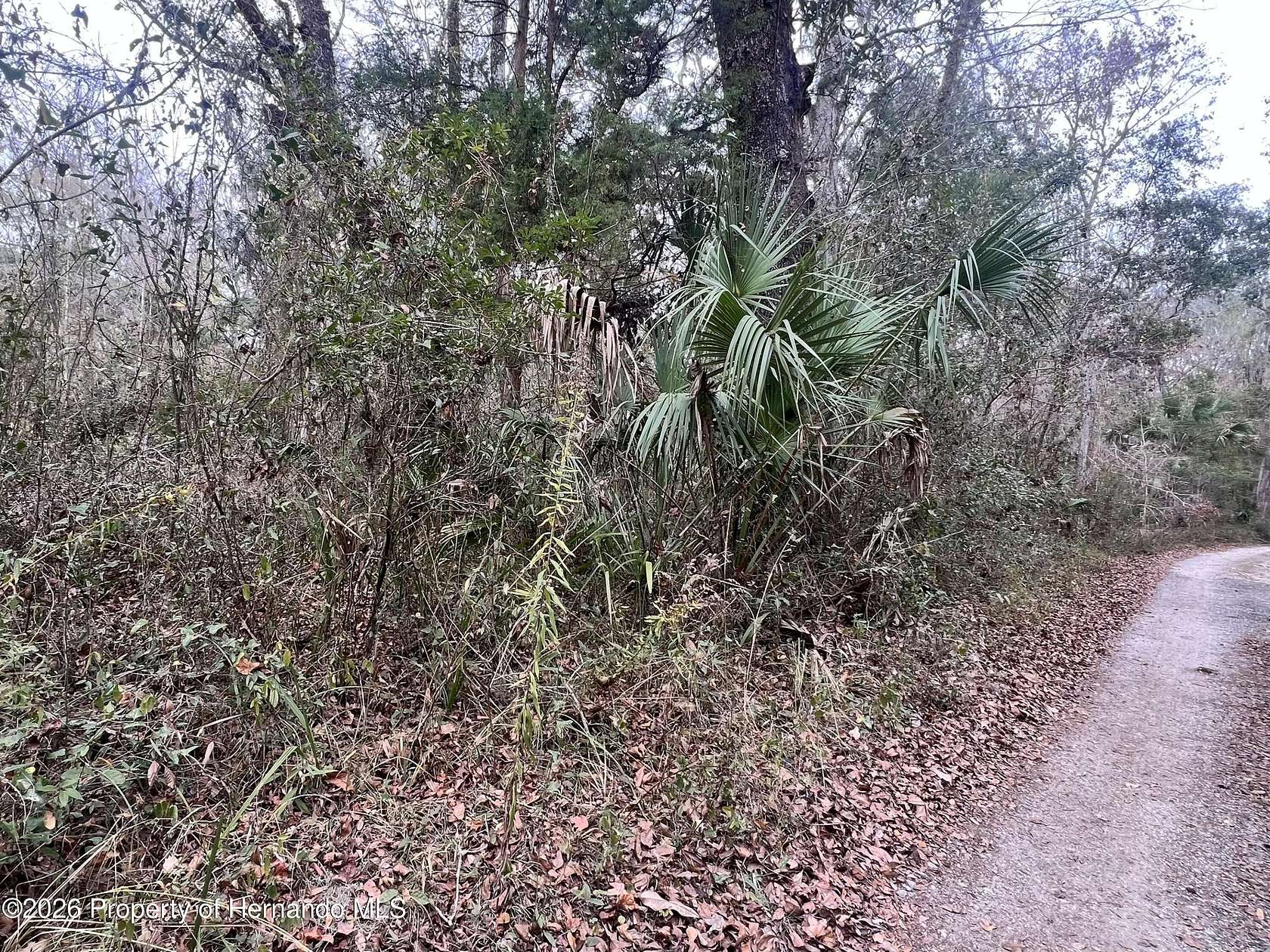 2 Acres of Residential Land for Sale in Brooksville, Florida