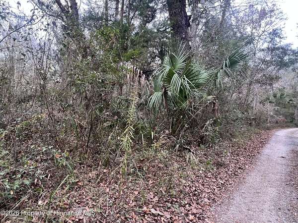 2 Acres of Residential Land for Sale in Brooksville, Florida