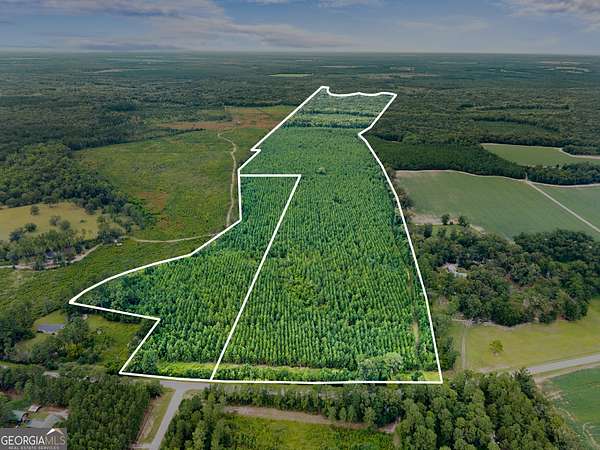 232 Acres of Recreational Land for Sale in Statesboro, Georgia
