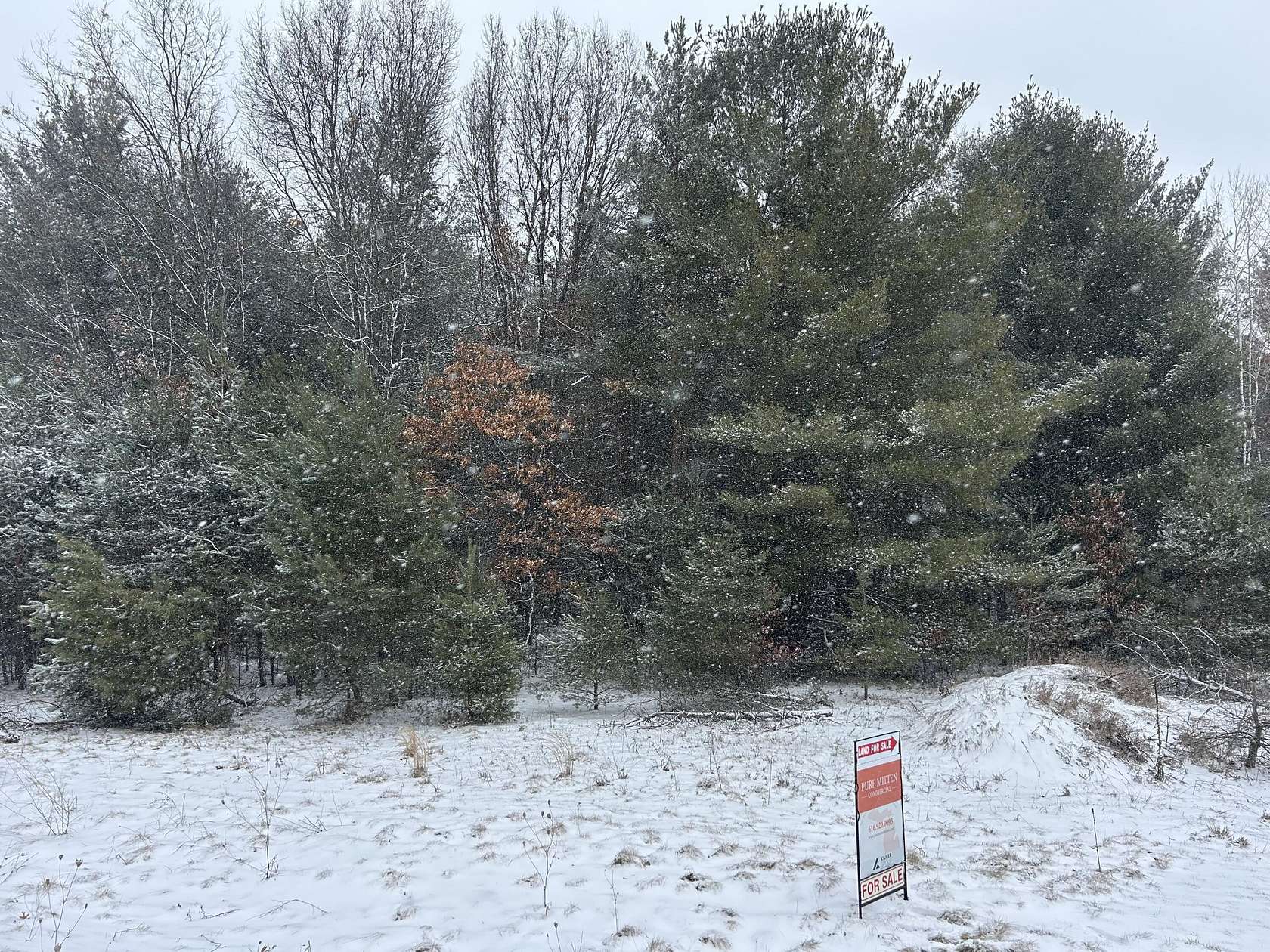 4 Acres of Mixed-Use Land for Sale in Howard City, Michigan