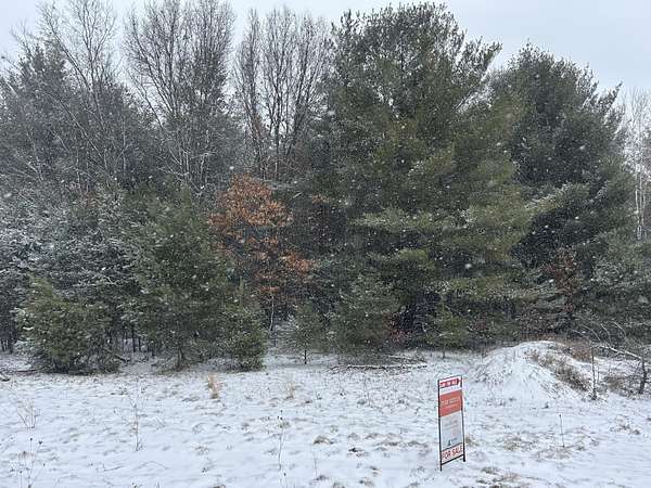 4 Acres of Mixed-Use Land for Sale in Howard City, Michigan