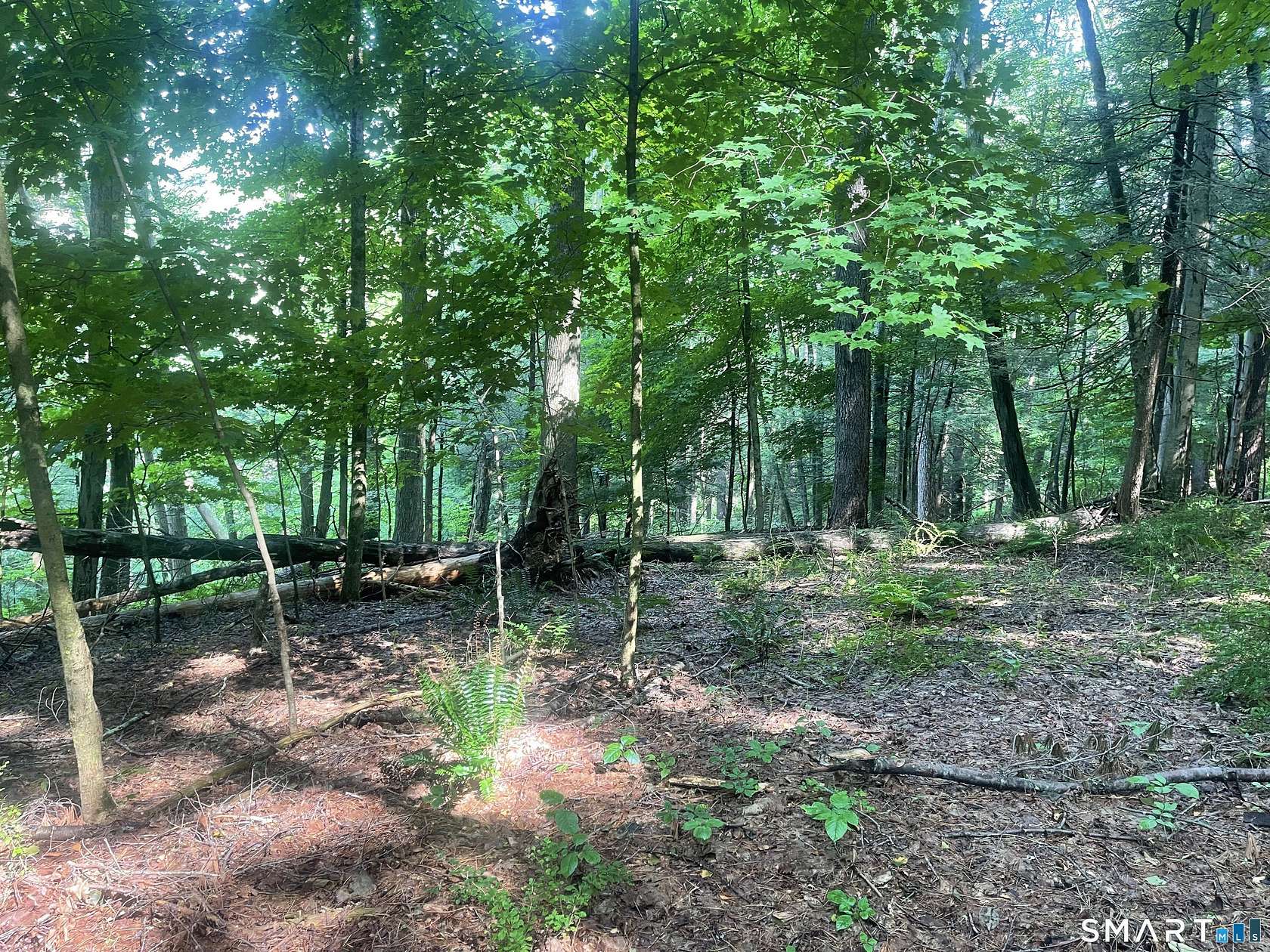 10.6 Acres of Recreational & Residential Land for Sale in Cornwall, Connecticut
