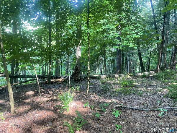 10.6 Acres of Recreational Land for Sale in Cornwall, Connecticut