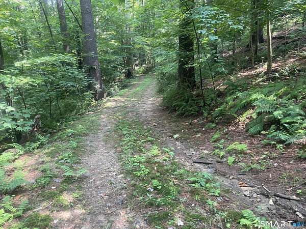 10.6 Acres of Recreational & Residential Land for Sale in Cornwall, Connecticut