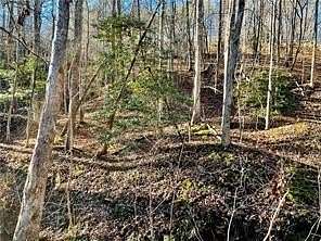 0.97 Acres of Residential Land for Sale in Dahlonega, Georgia