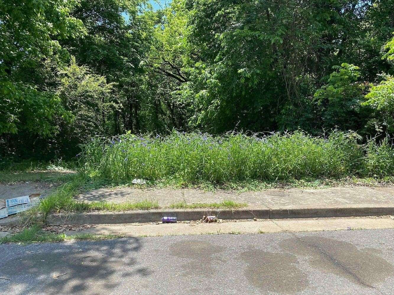 0.17 Acres of Residential Land for Sale in Memphis, Tennessee