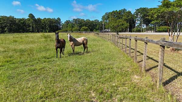12.6 Acres of Land for Sale in Grayson, Louisiana
