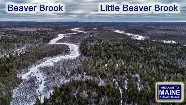 44 Acres of Recreational Land for Sale in Linneus, Maine