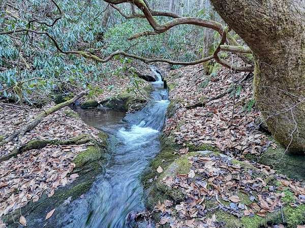 7.69 Acres of Land for Sale in Andrews, North Carolina