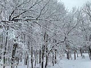 0.53 Acres of Residential Land for Sale in Albrightsville, Pennsylvania