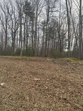 13.1 Acres of Land for Sale in Henry, Virginia