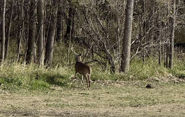 40 Acres of Recreational Land & Farm for Sale in Portage, Wisconsin