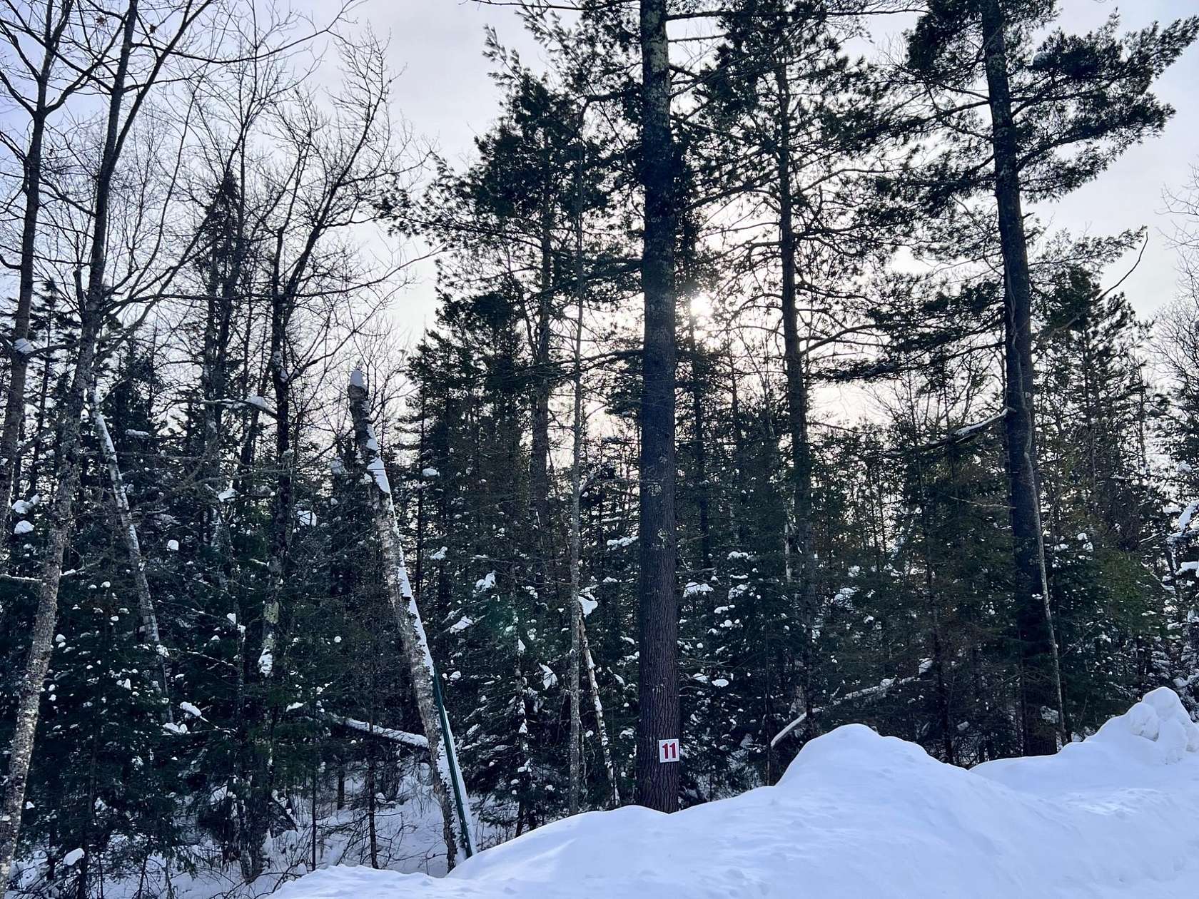 1.79 Acres of Residential Land for Sale in Eagle River, Wisconsin