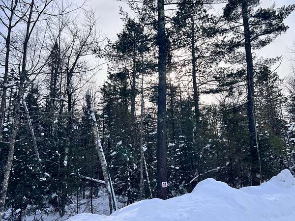 1.79 Acres of Residential Land for Sale in Eagle River, Wisconsin