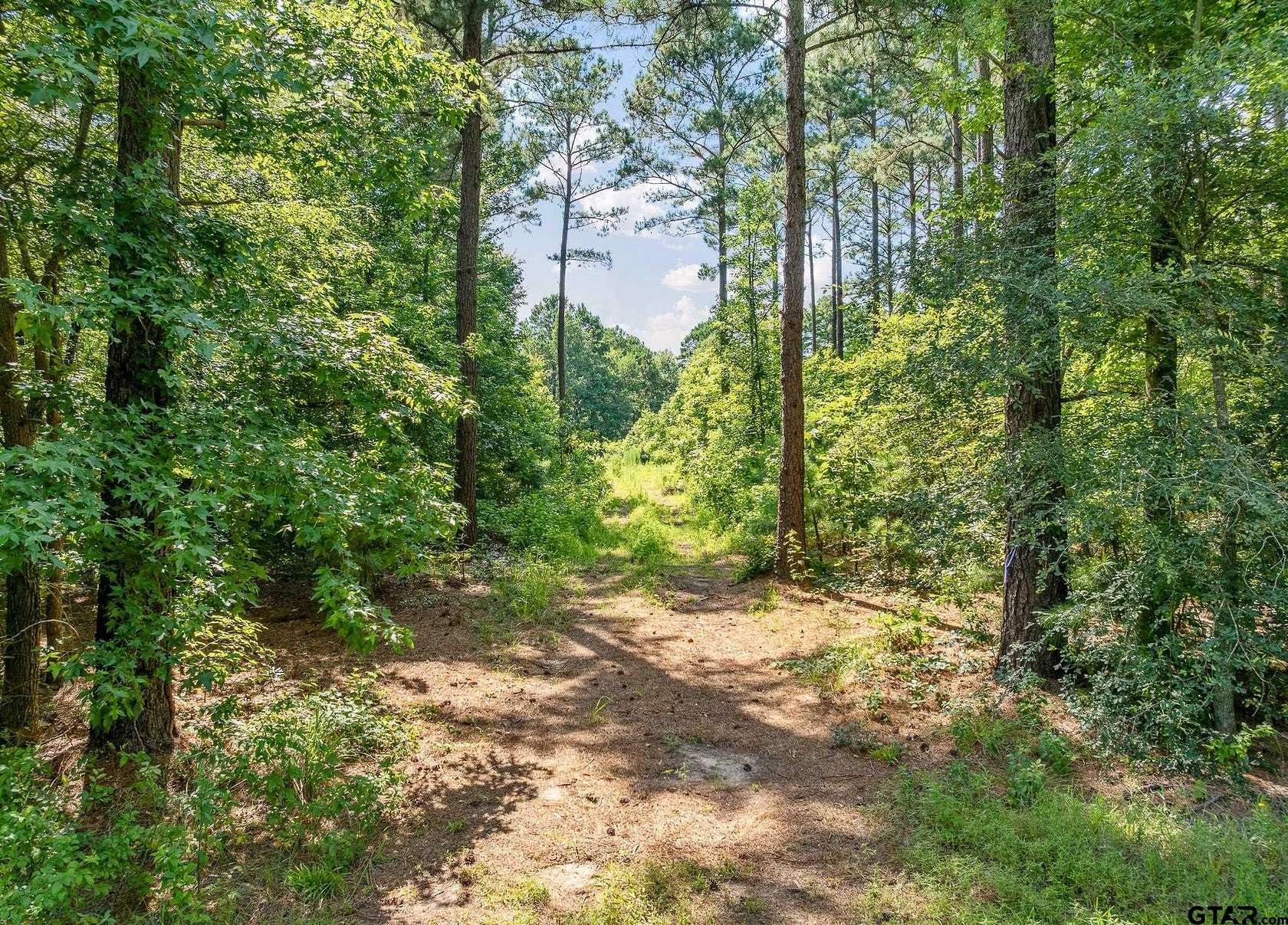 12.4 Acres of Recreational Land for Sale in Gilmer, Texas